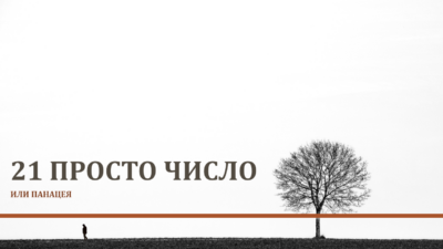 Практикум 21 Просто число, или Панацея.