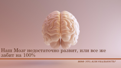 Практикум «Наш Мозг недостаточно развит, или все же забит на 100%» Миф это, или реальность?