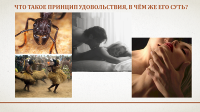 Практикум «Принцип Удовольствия»