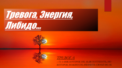 Практикум «Тревога, Энергия, Либидо» — Пламя, которое нельзя потушить, но которое можно подчинить своей воле…